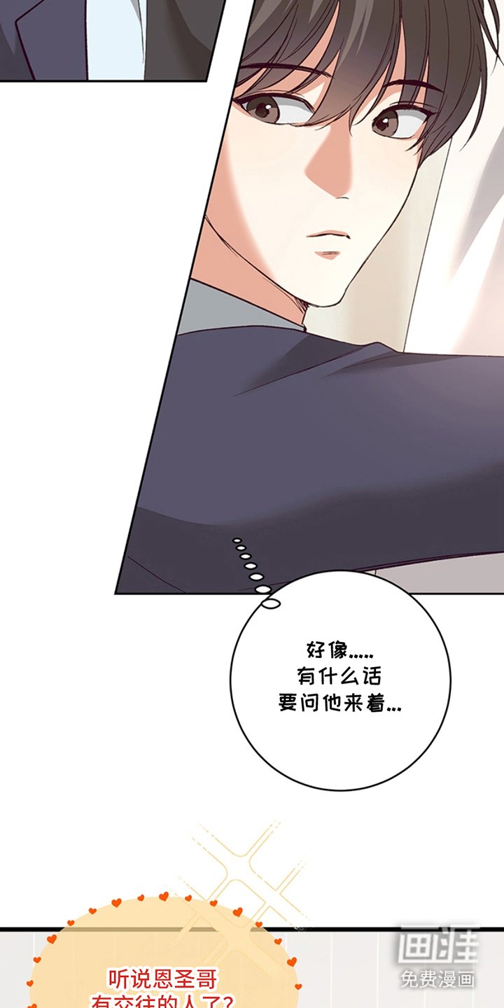 第10章：理想型