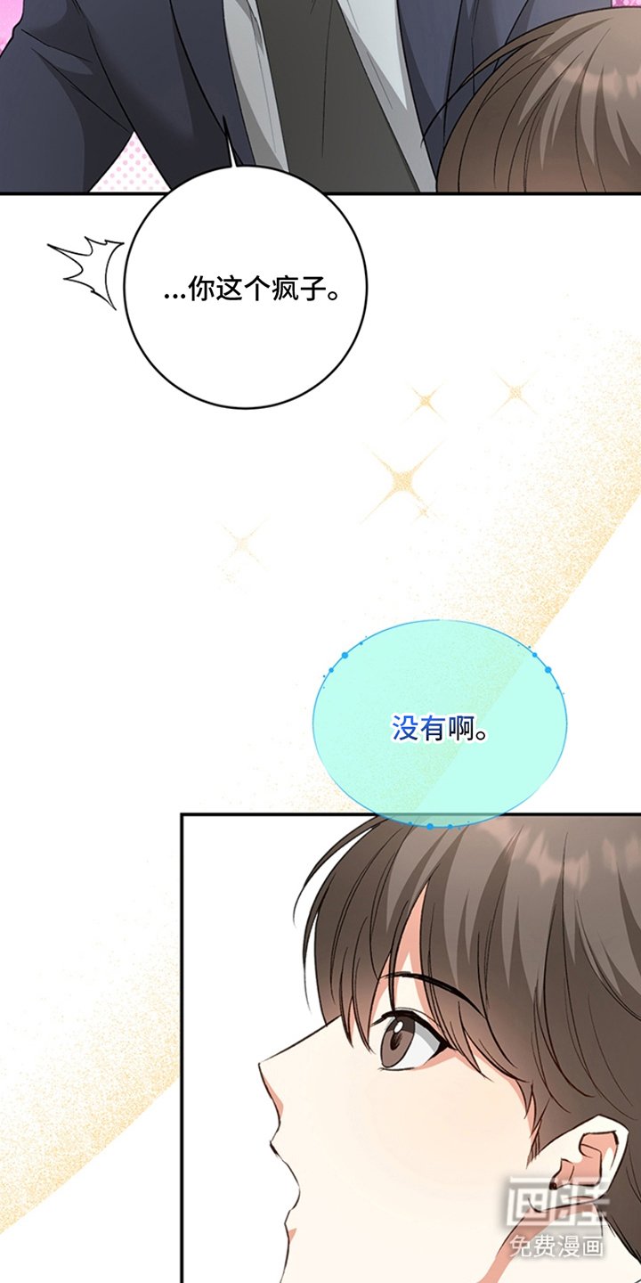 第10章：理想型