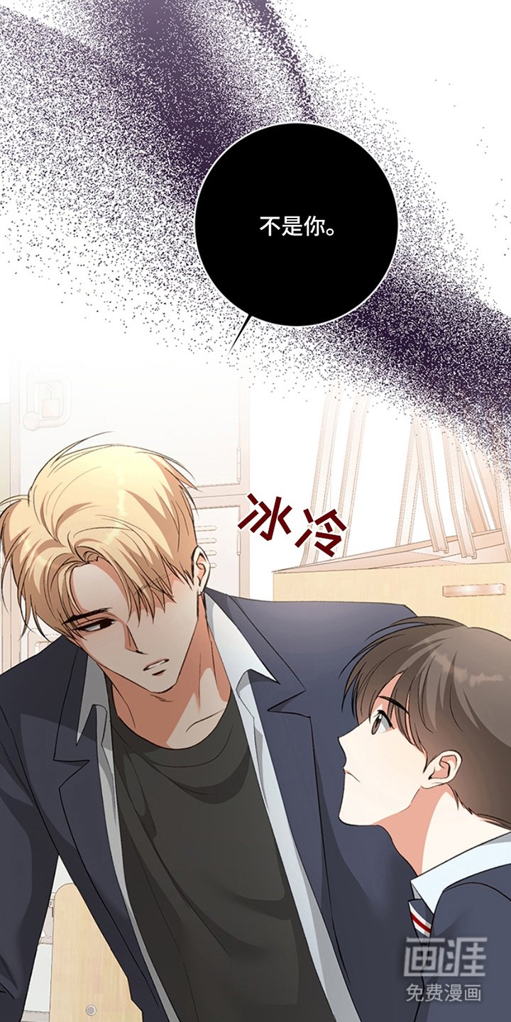 第10章：理想型
