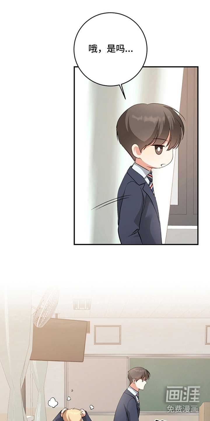 第10章：理想型