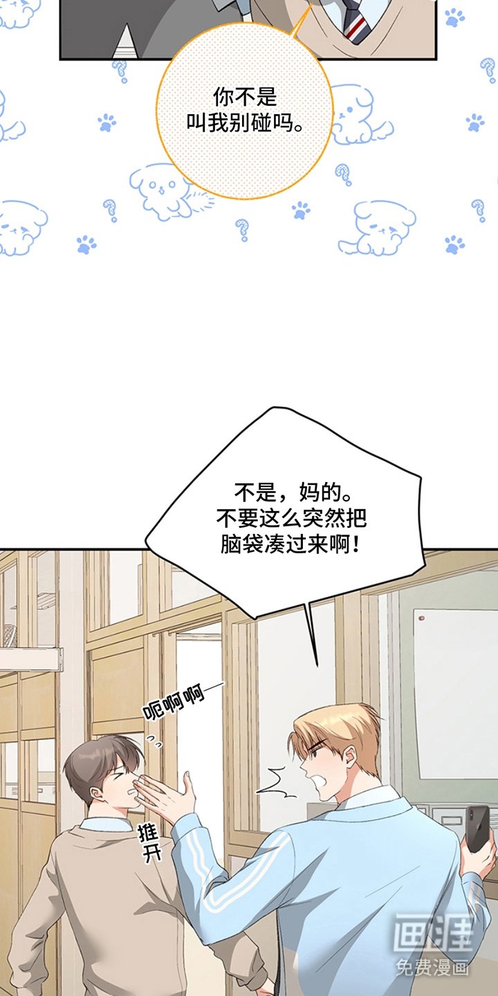 第12章：解释