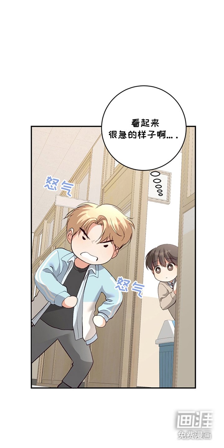 第12章：解释