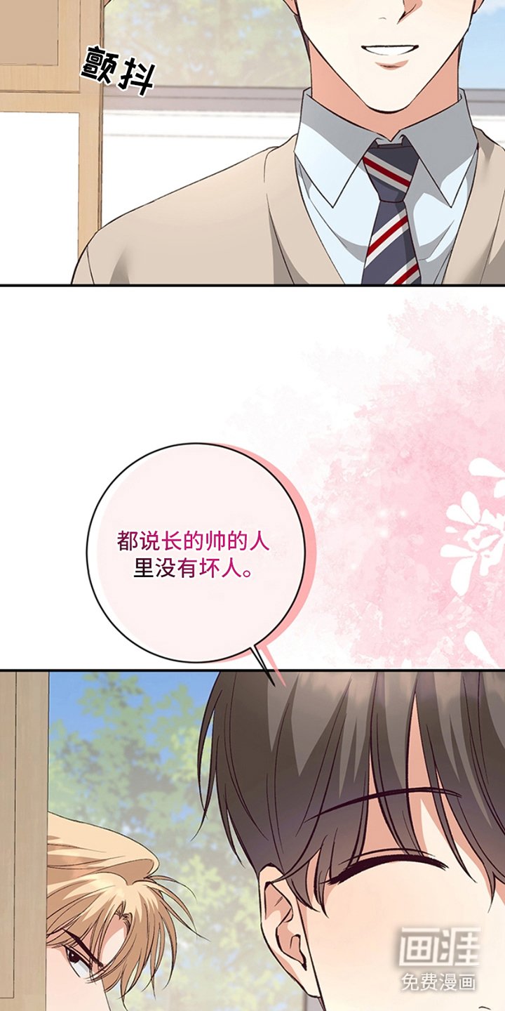 第12章：解释