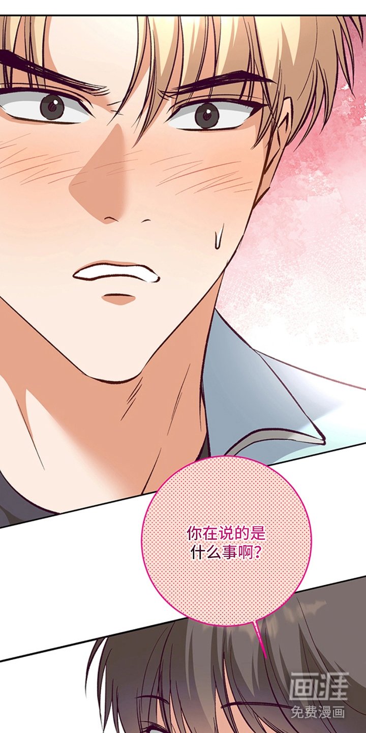 第14章：视听室