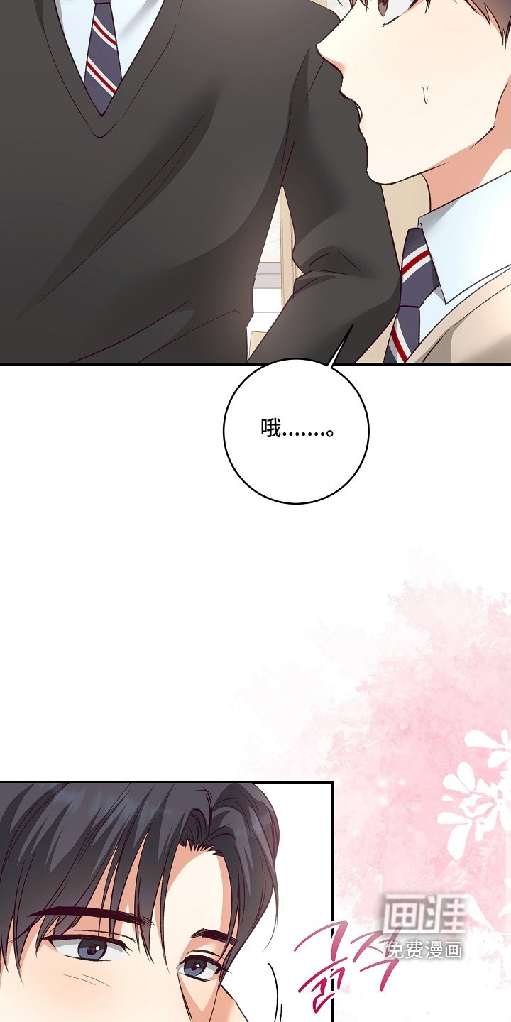第27章：真可爱