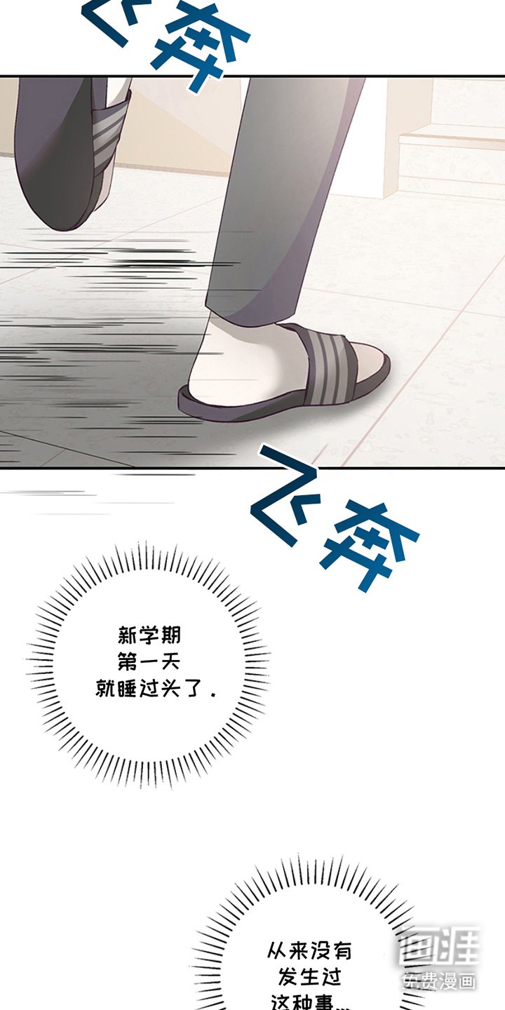 第3章：真好看
