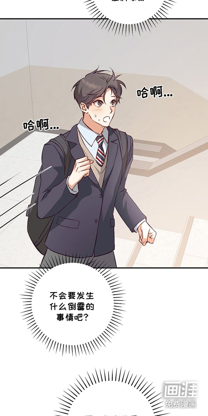 第3章：真好看