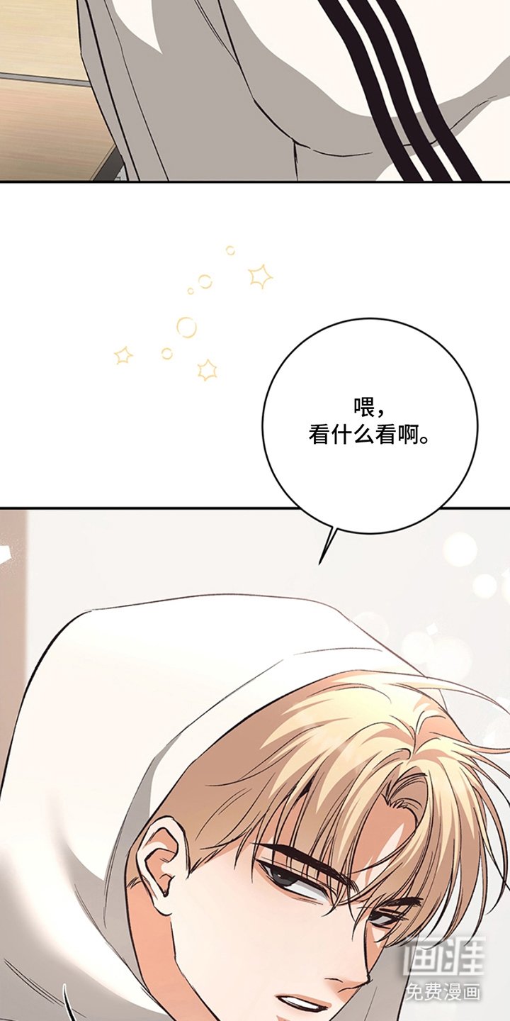 第3章：真好看