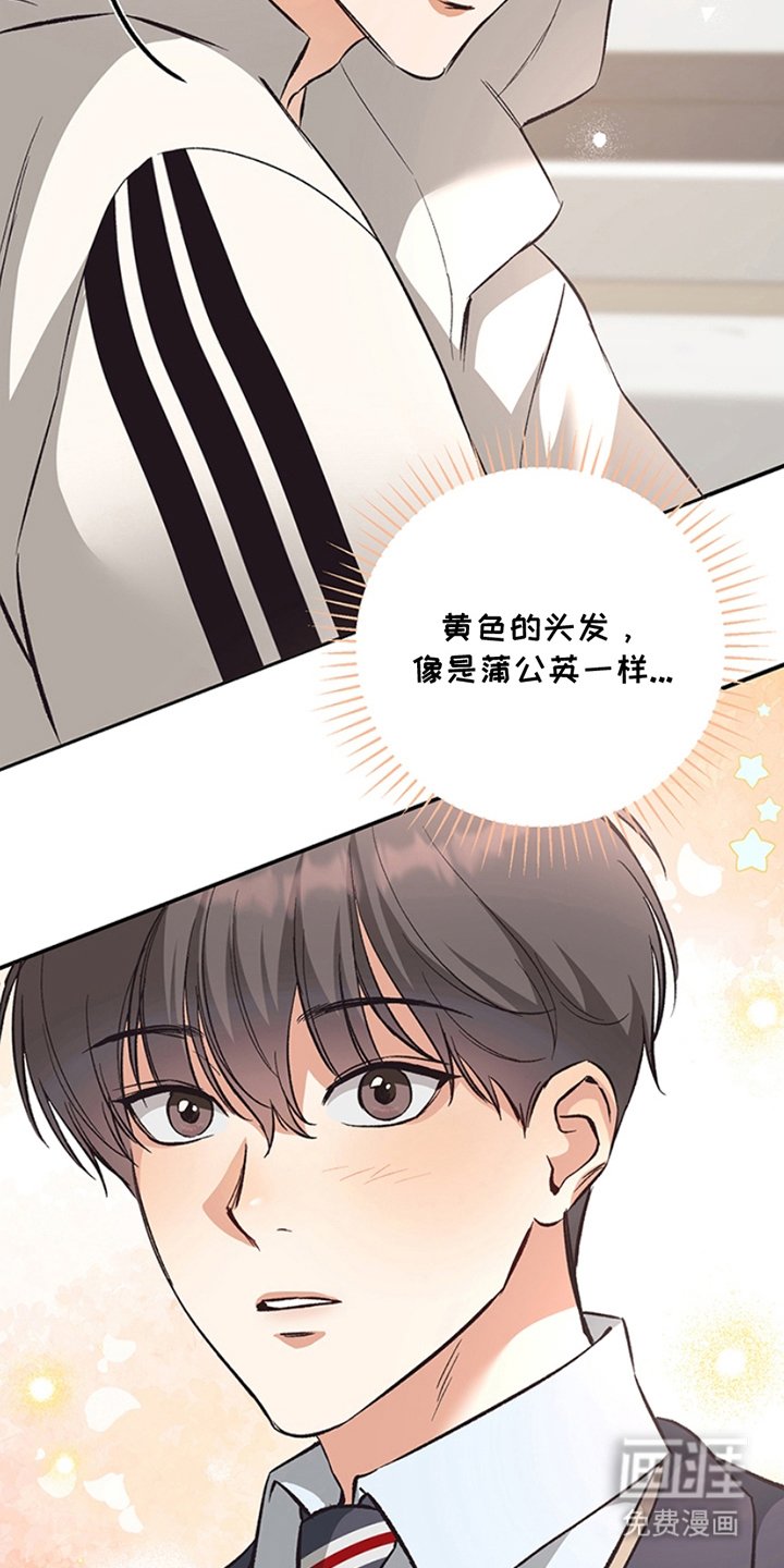 第3章：真好看
