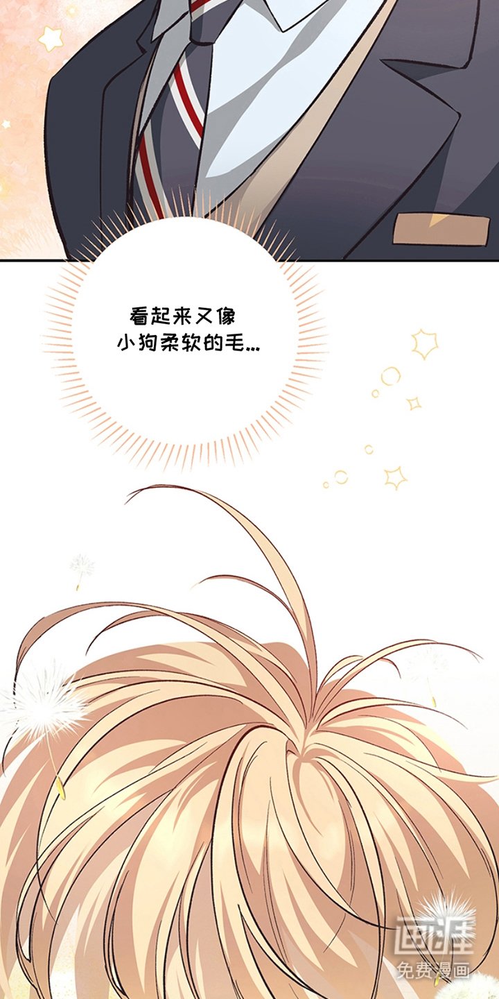 第3章：真好看