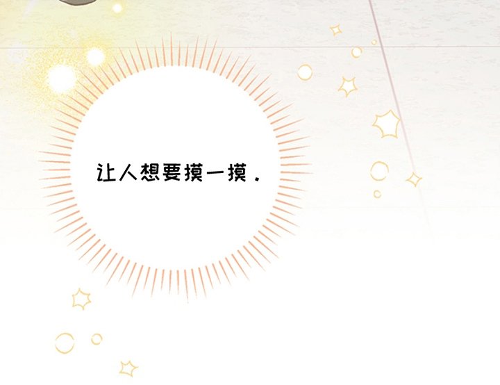 第3章：真好看