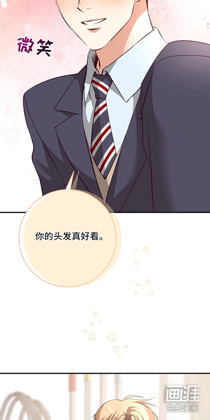 第3章：真好看