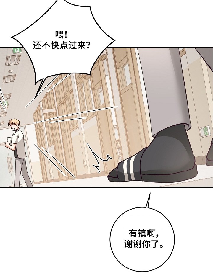 第37章：种类