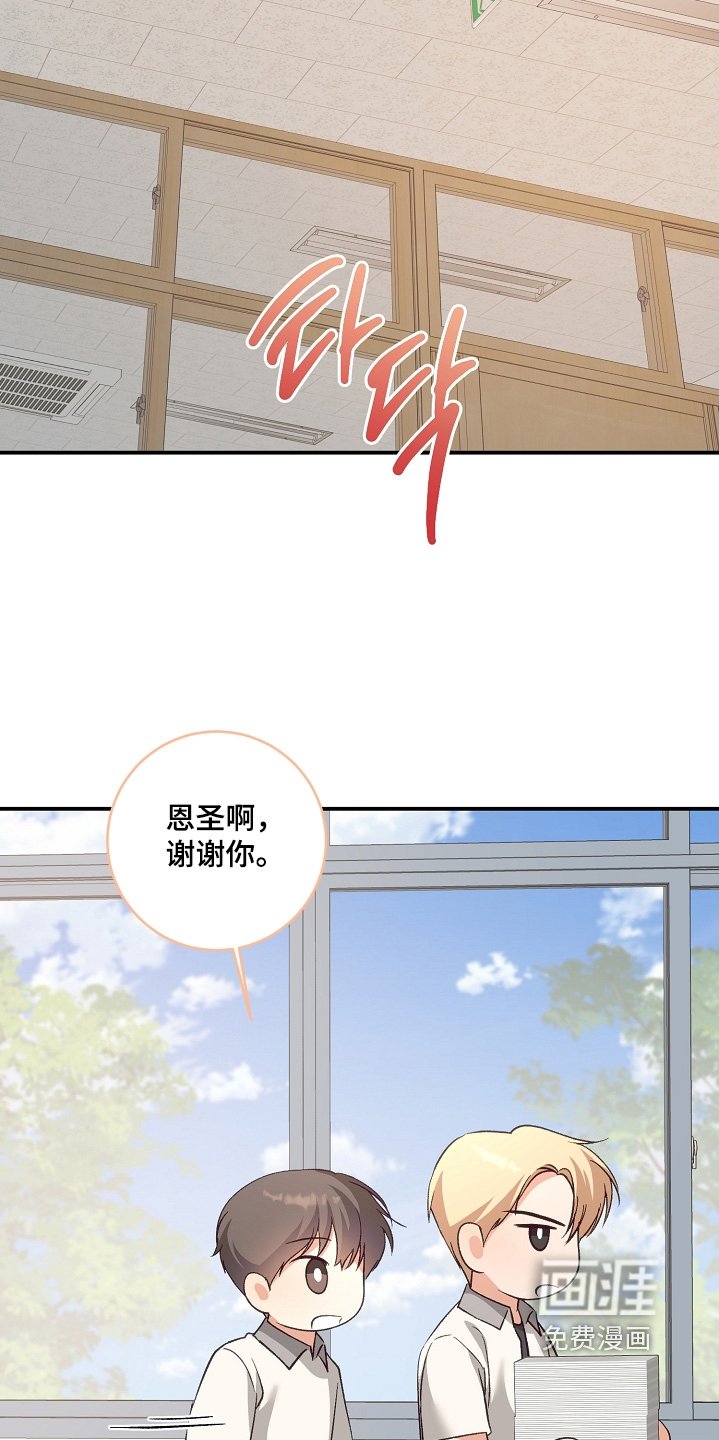 第37章：种类