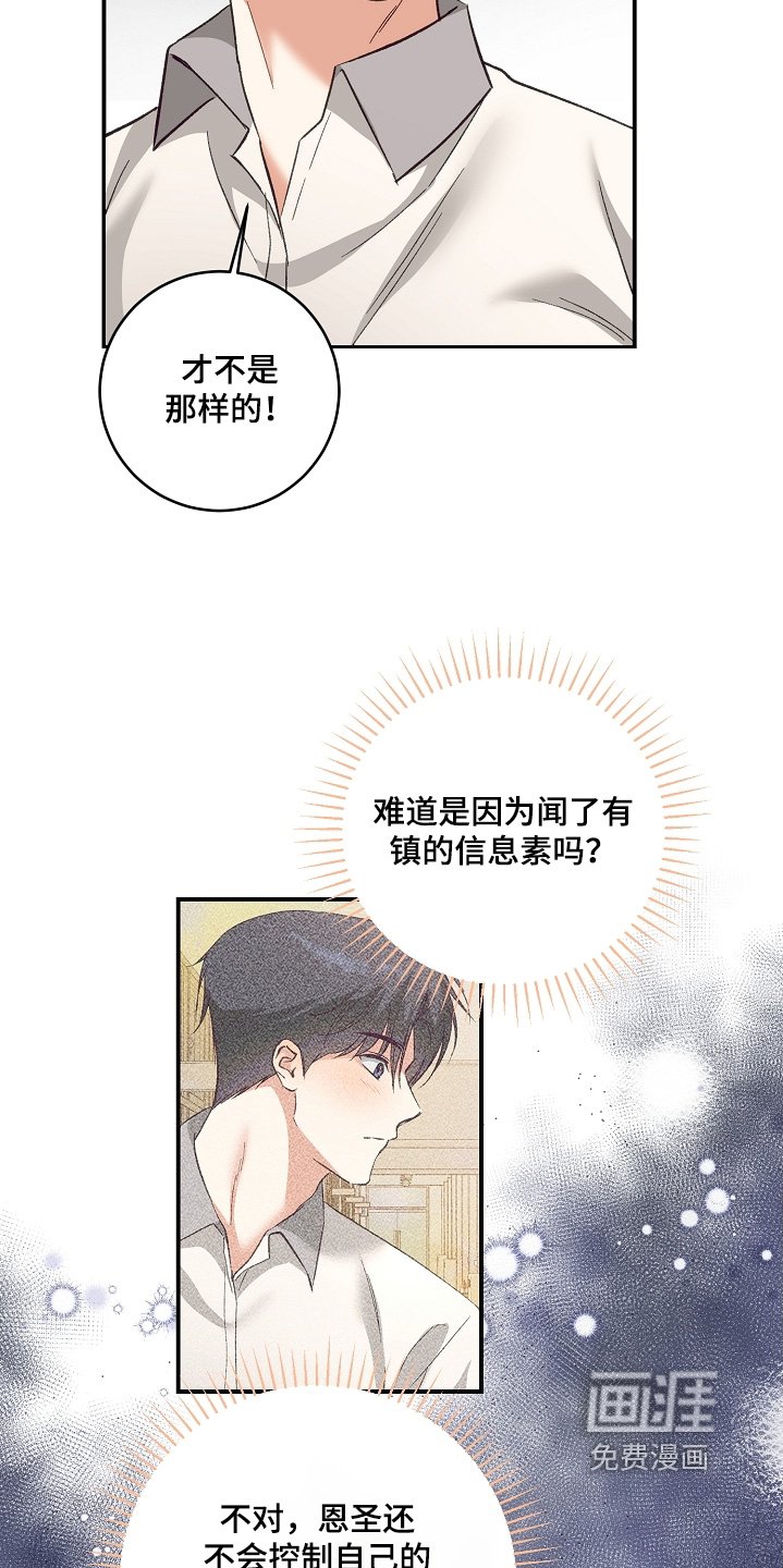 第37章：种类