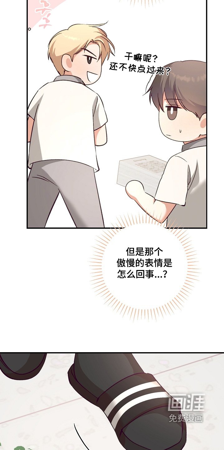 第37章：种类