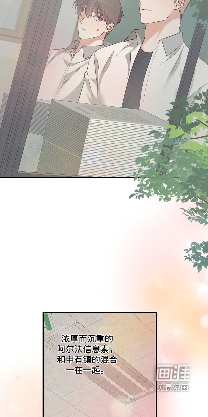 第37章：种类