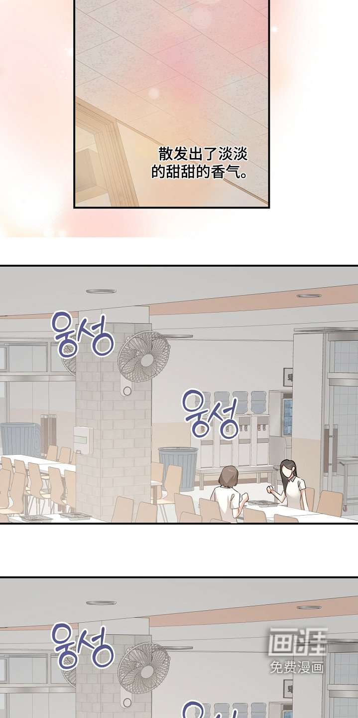 第37章：种类