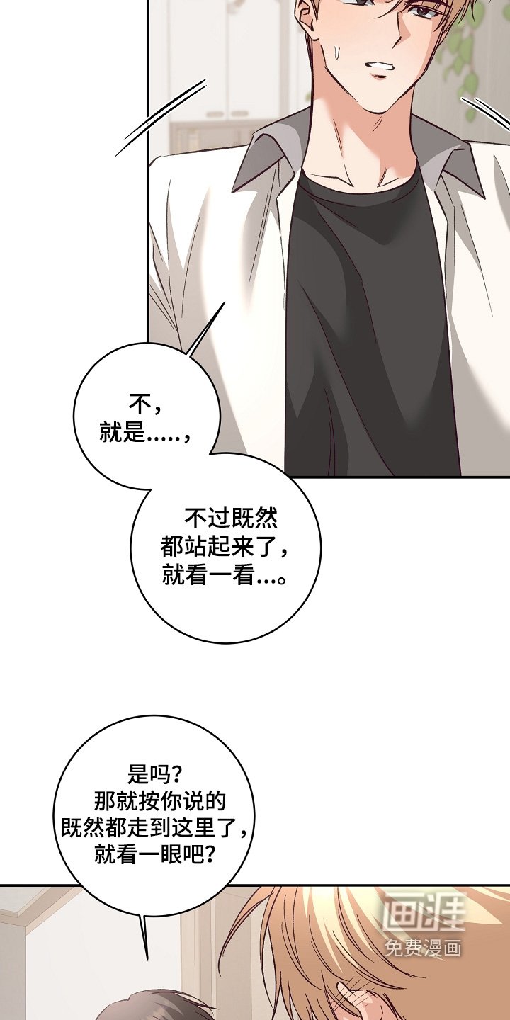 第42章：参观