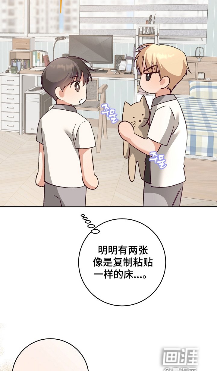 第42章：参观