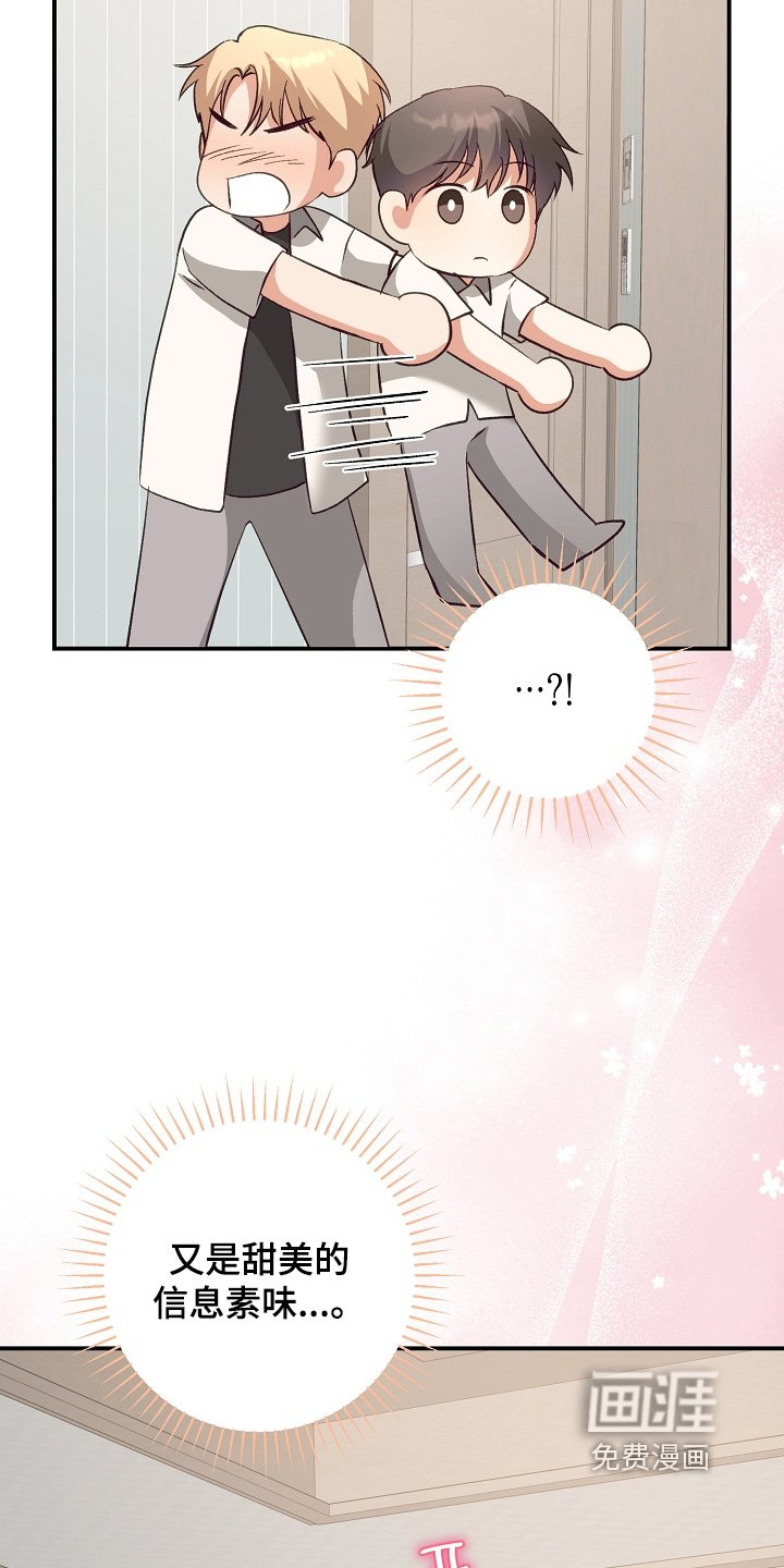 第42章：参观