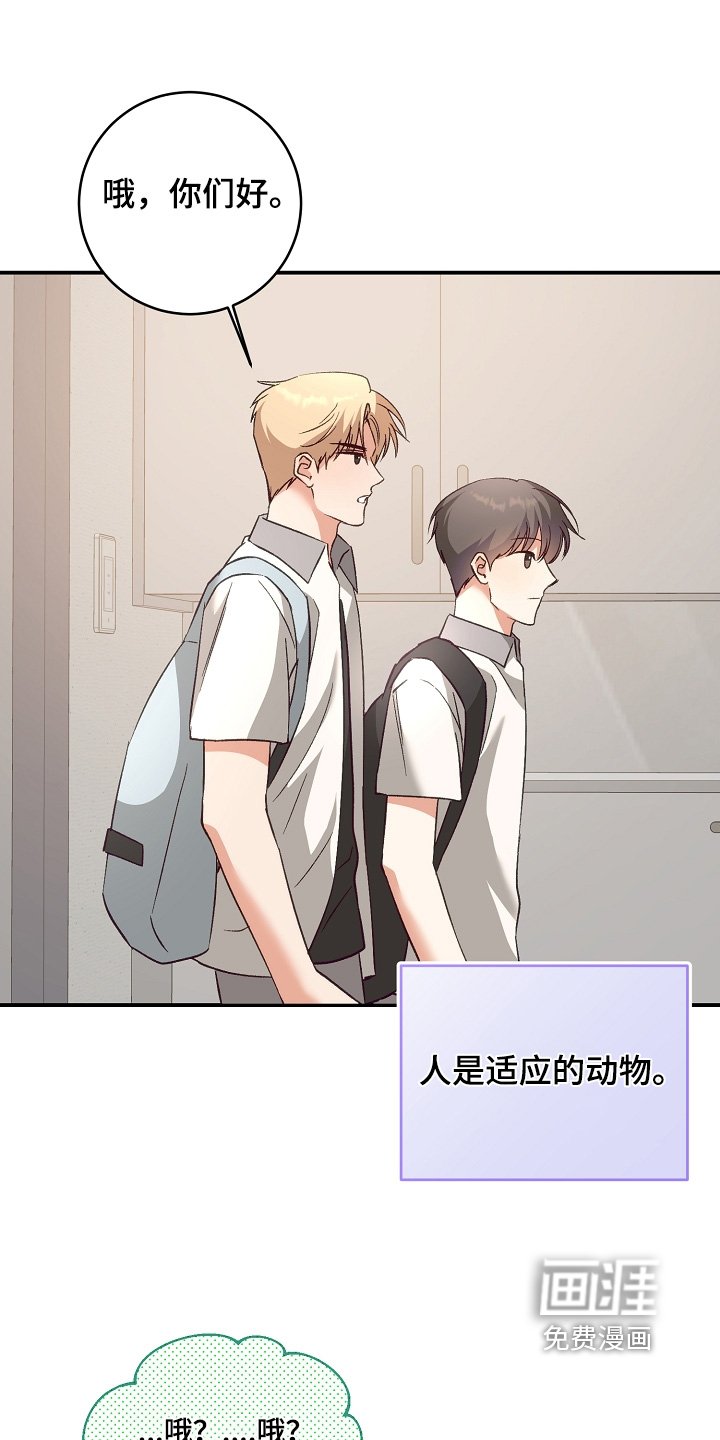 第43章：拍照