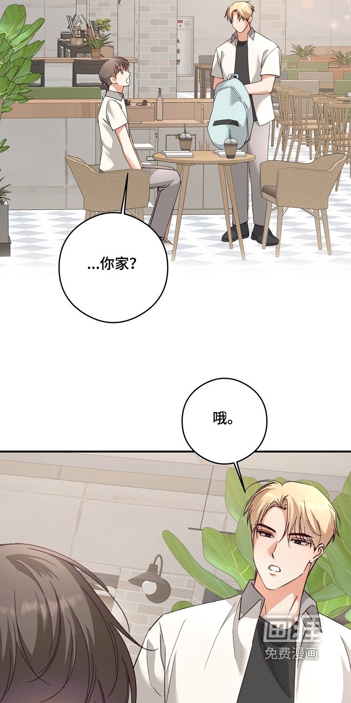 第47章：回来了
