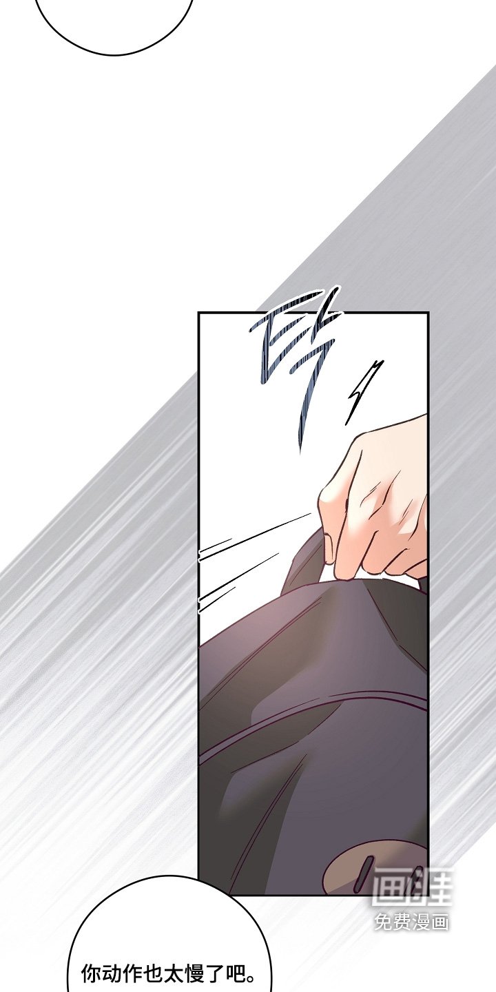 第47章：回来了