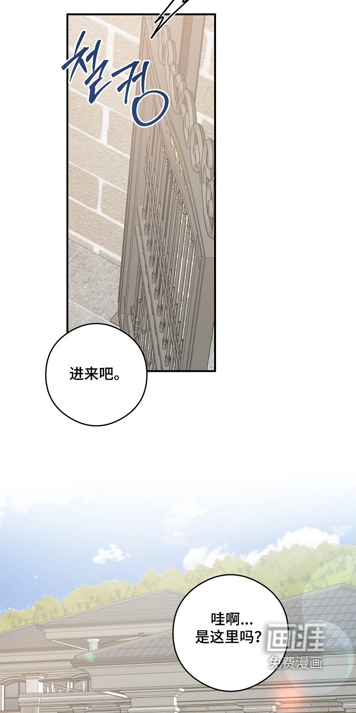 第47章：回来了