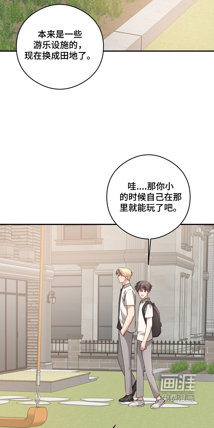 第47章：回来了
