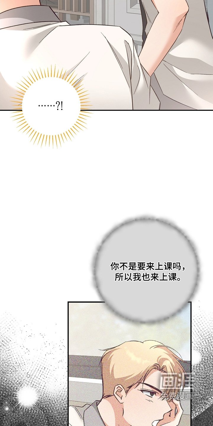 第47章：回来了