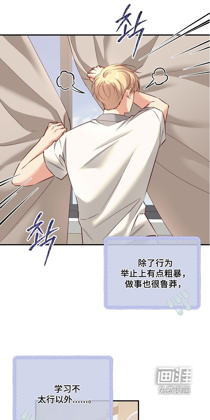 第63章：没有告白