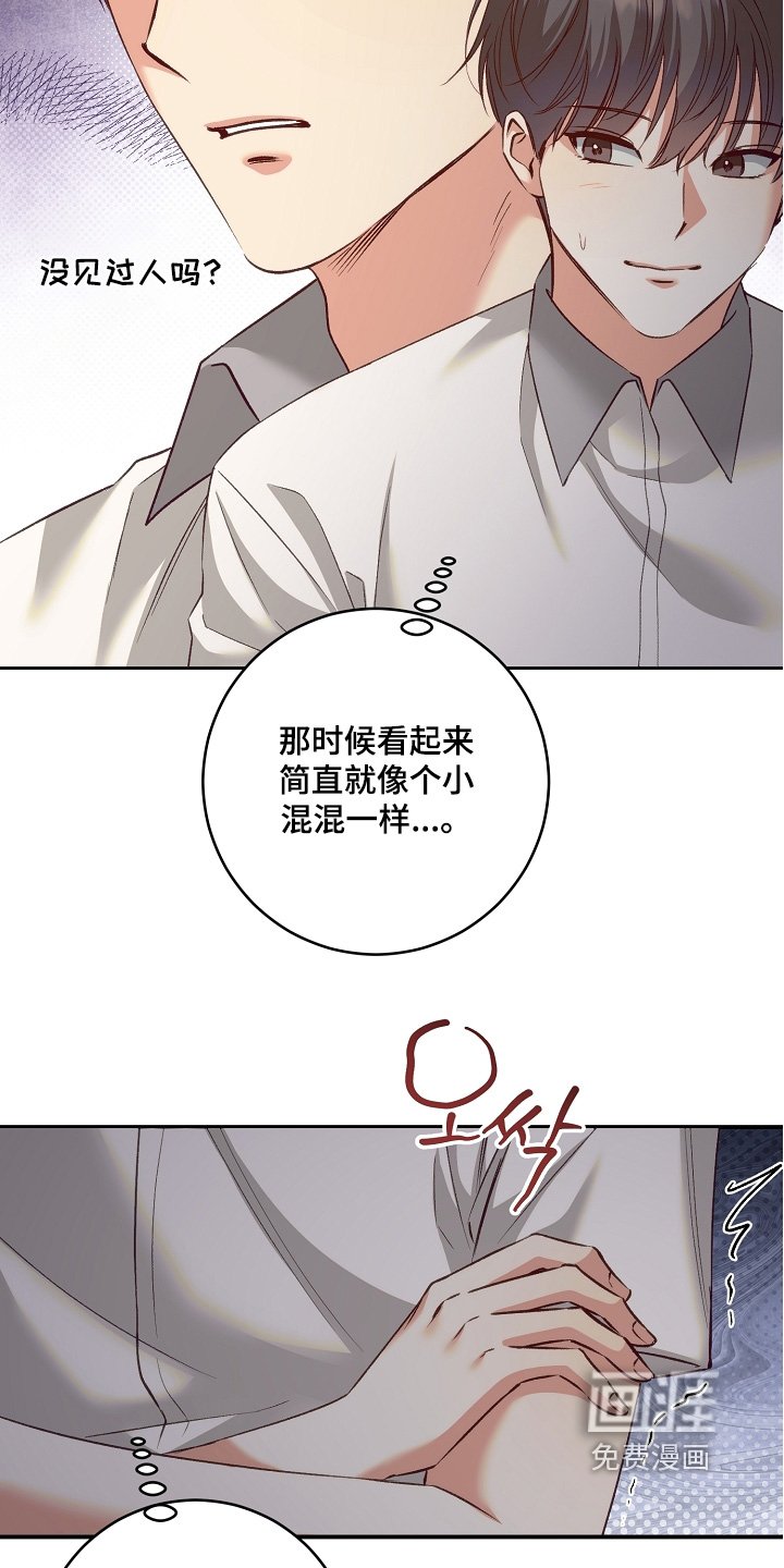 第63章：没有告白