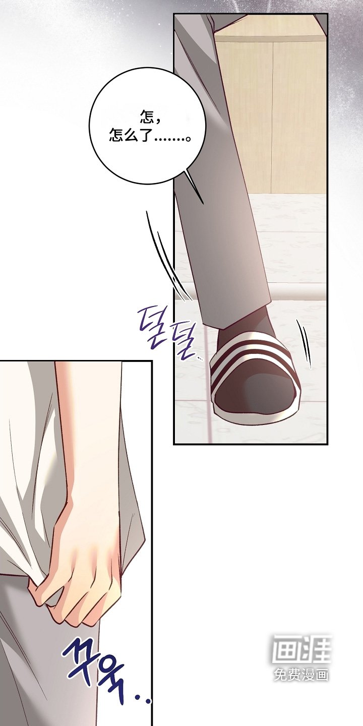 第65章：相机