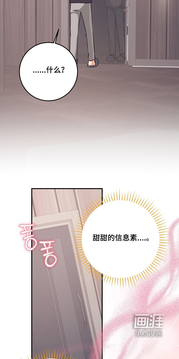第75章：马上开始