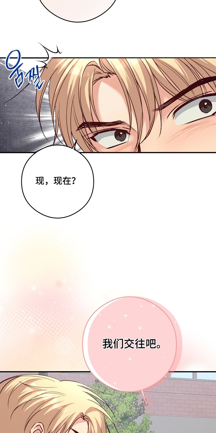 第78章：交往吧