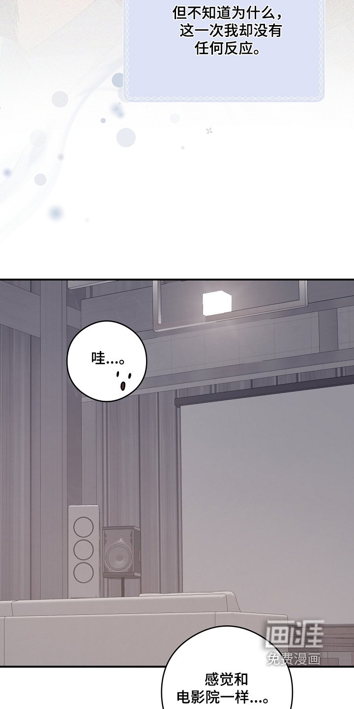 第81章：你选吧