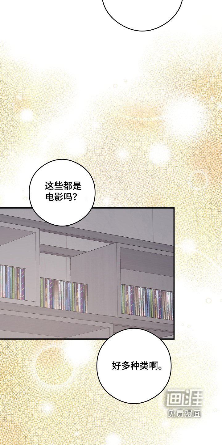 第81章：你选吧