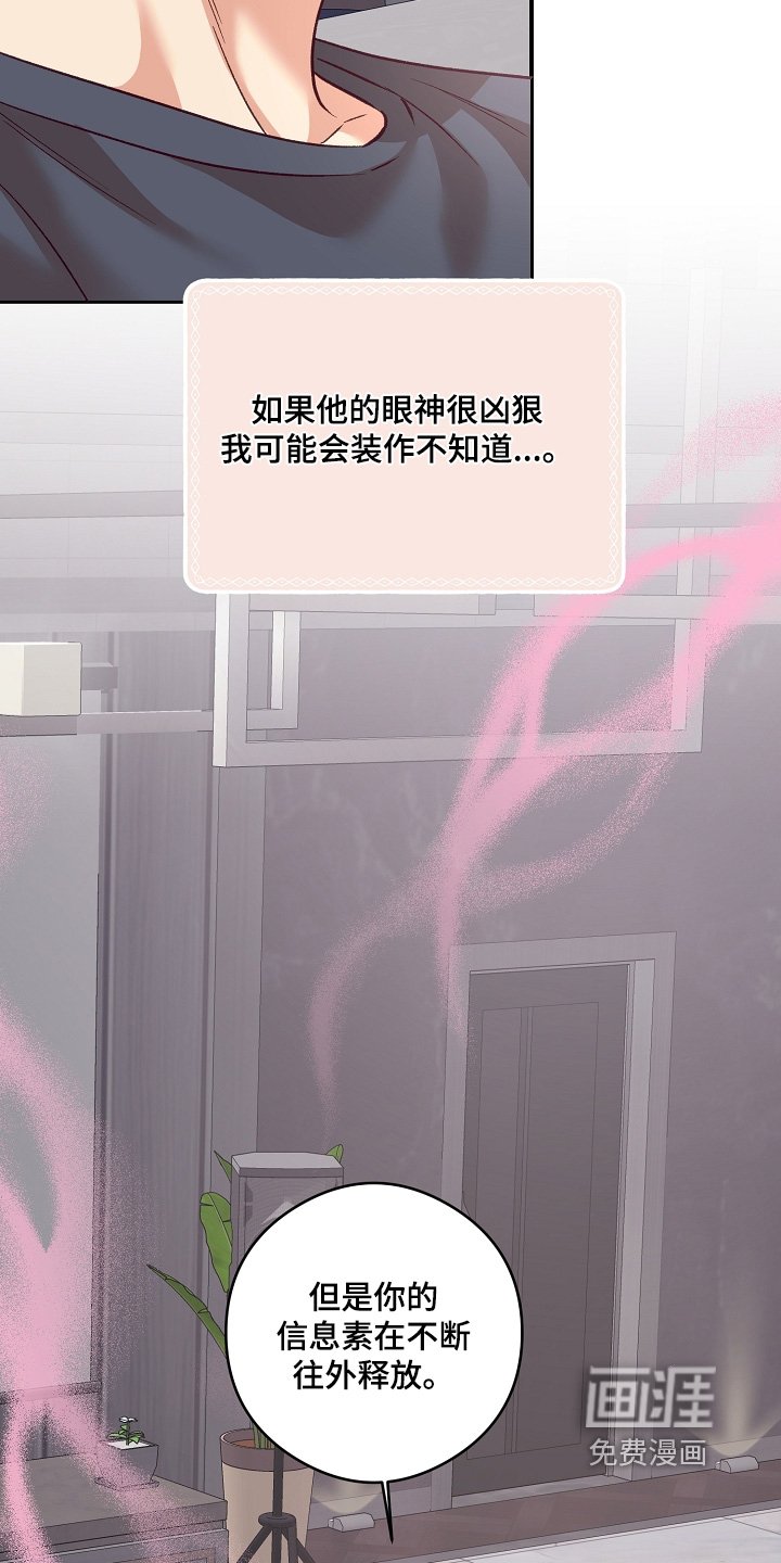 第81章：你选吧