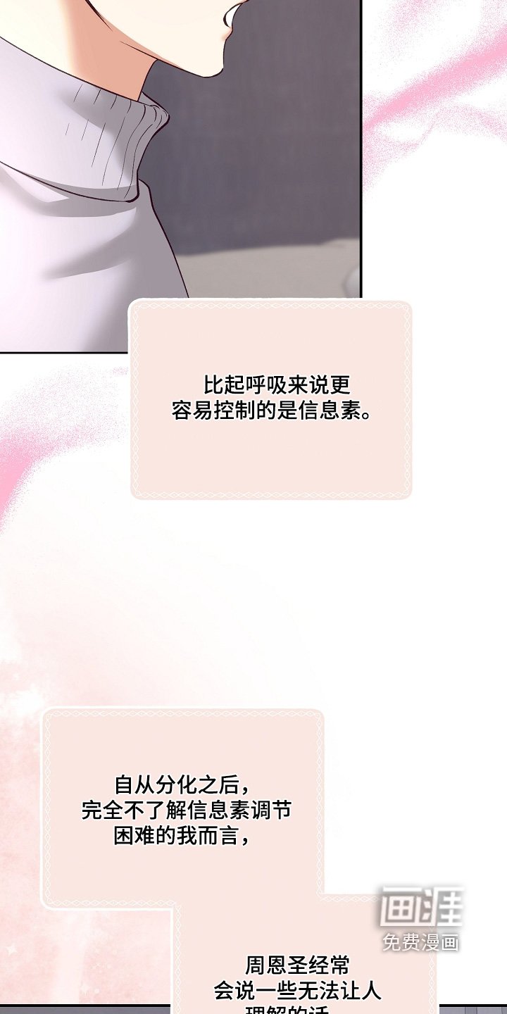 第81章：你选吧