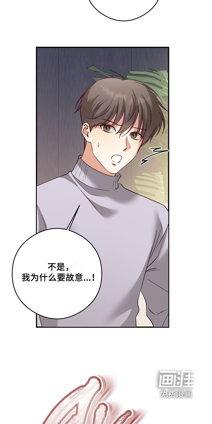 第81章：你选吧