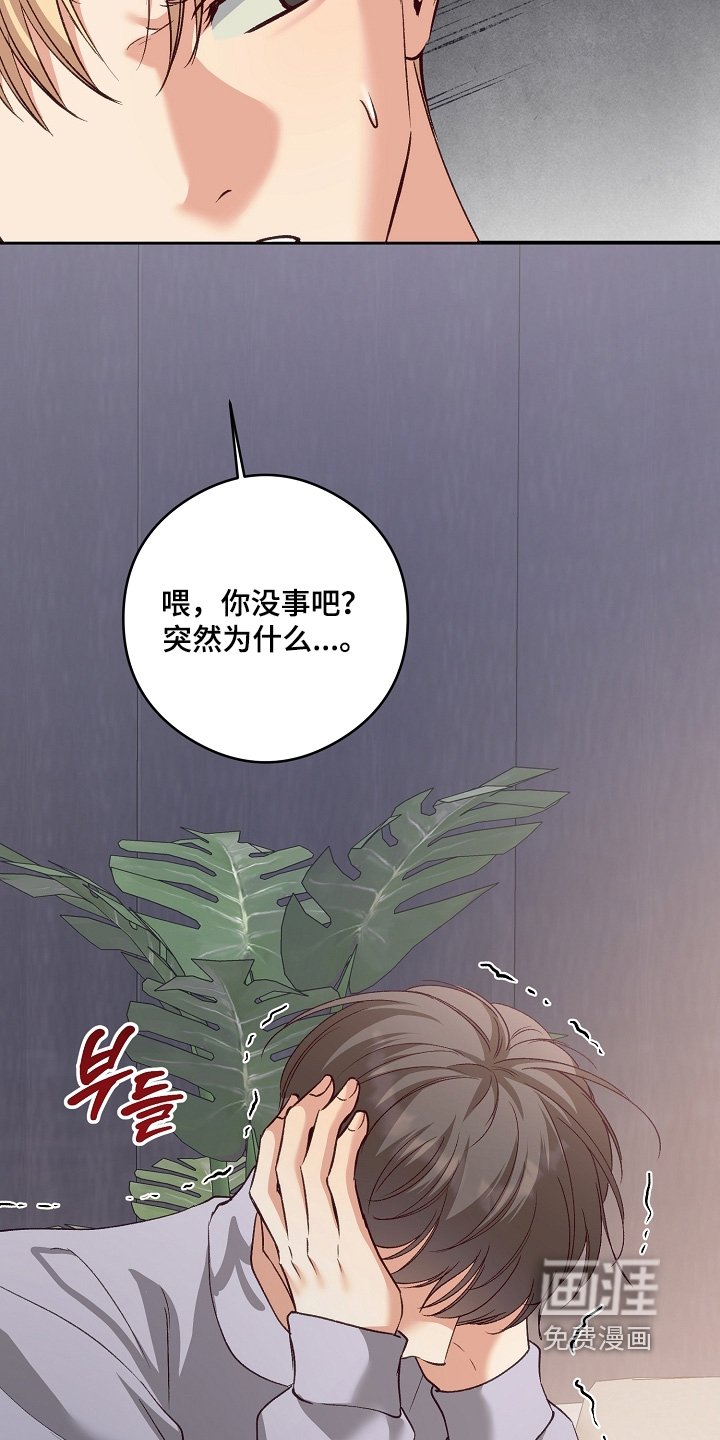 第81章：你选吧