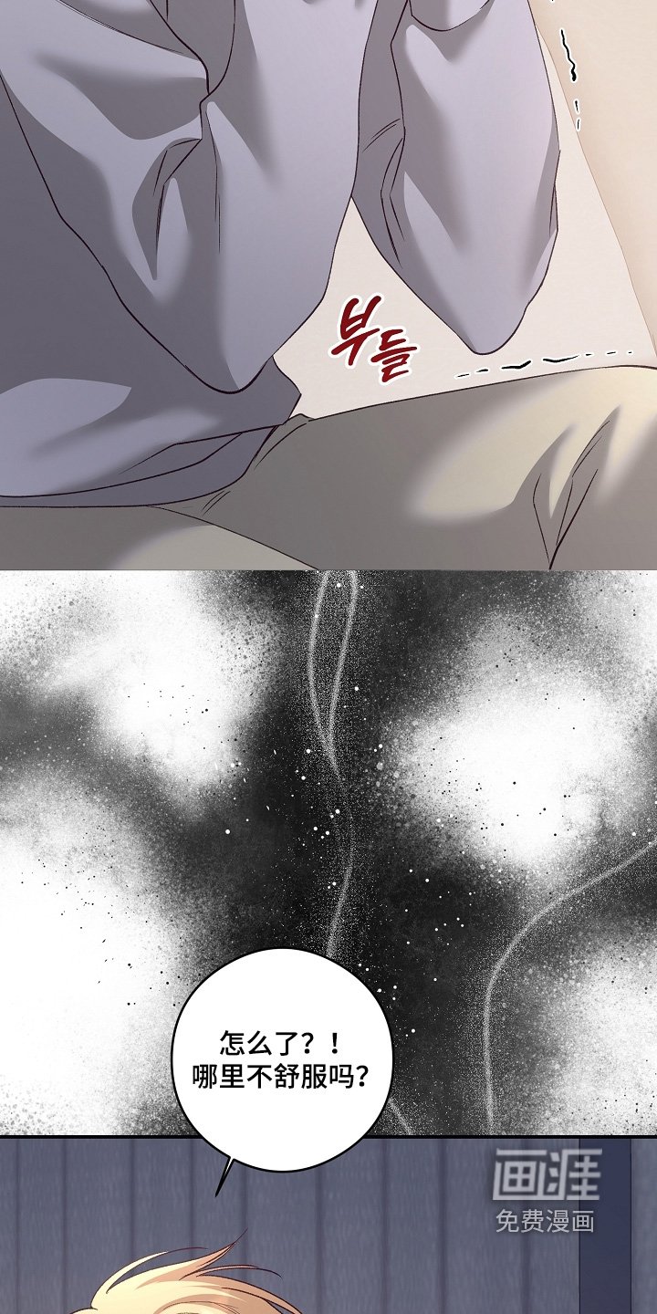 第81章：你选吧