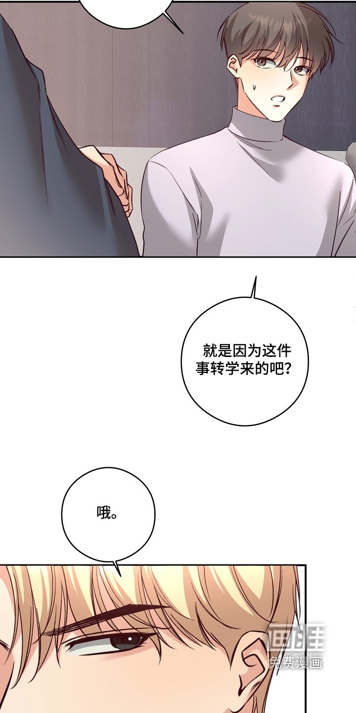 第83章：该怎么做