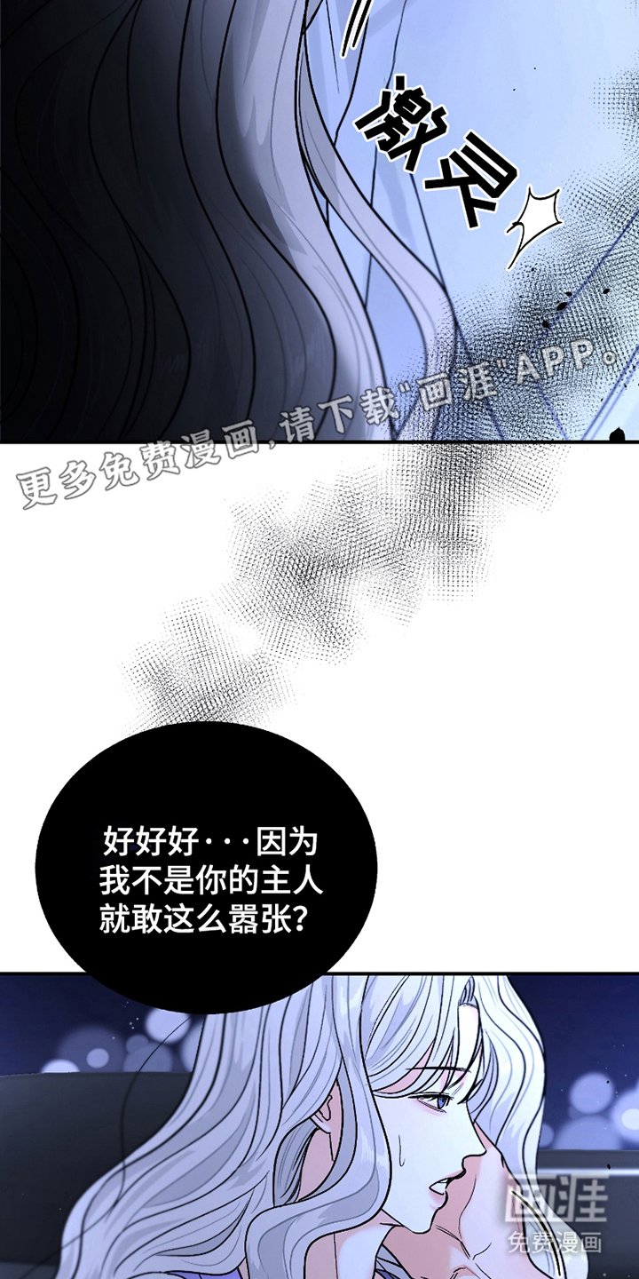 第4章：清醒过来