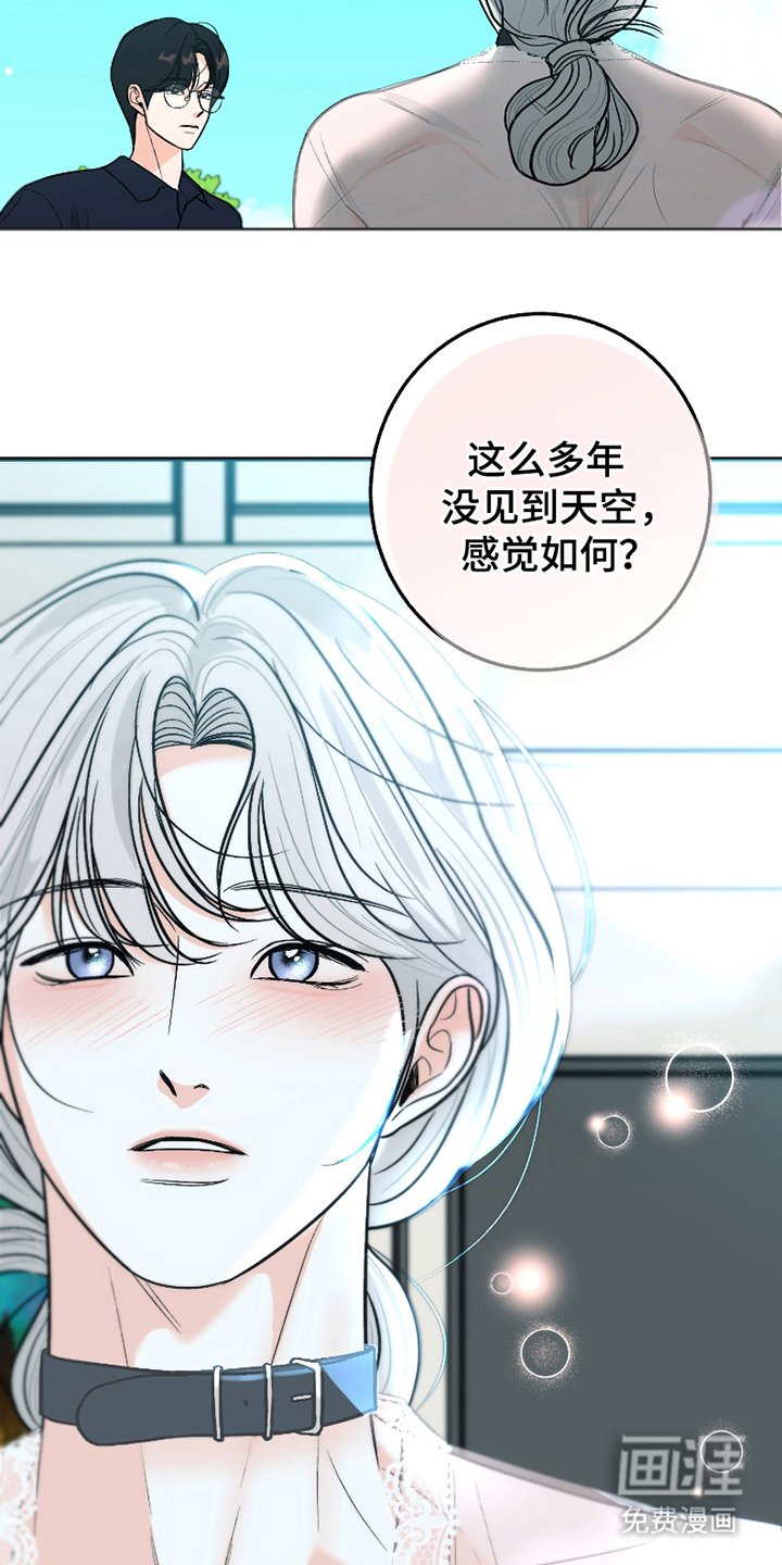 第5章：派上用场
