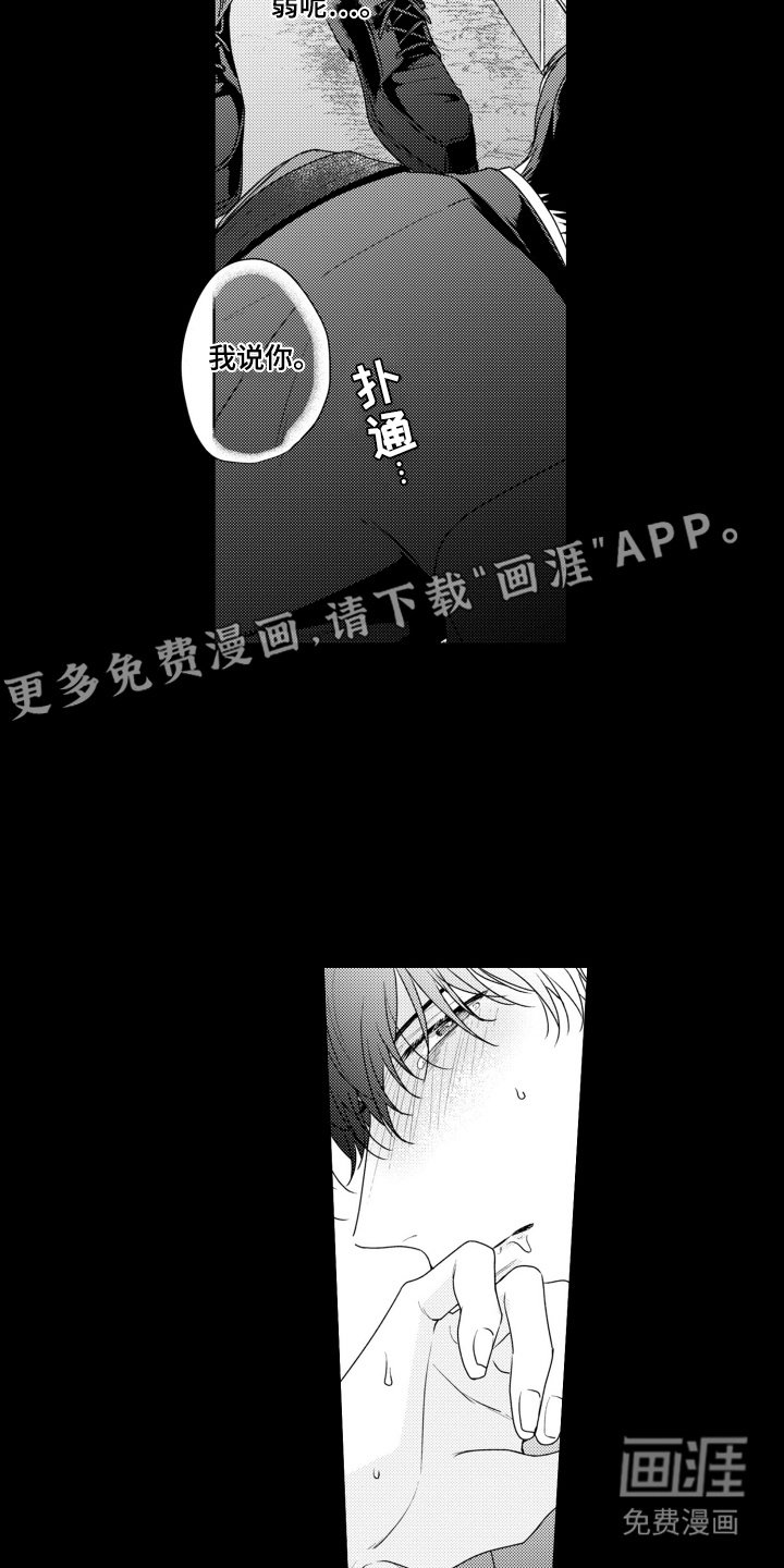 第23章：很耀眼