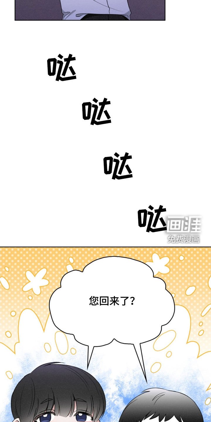 第29章：计划