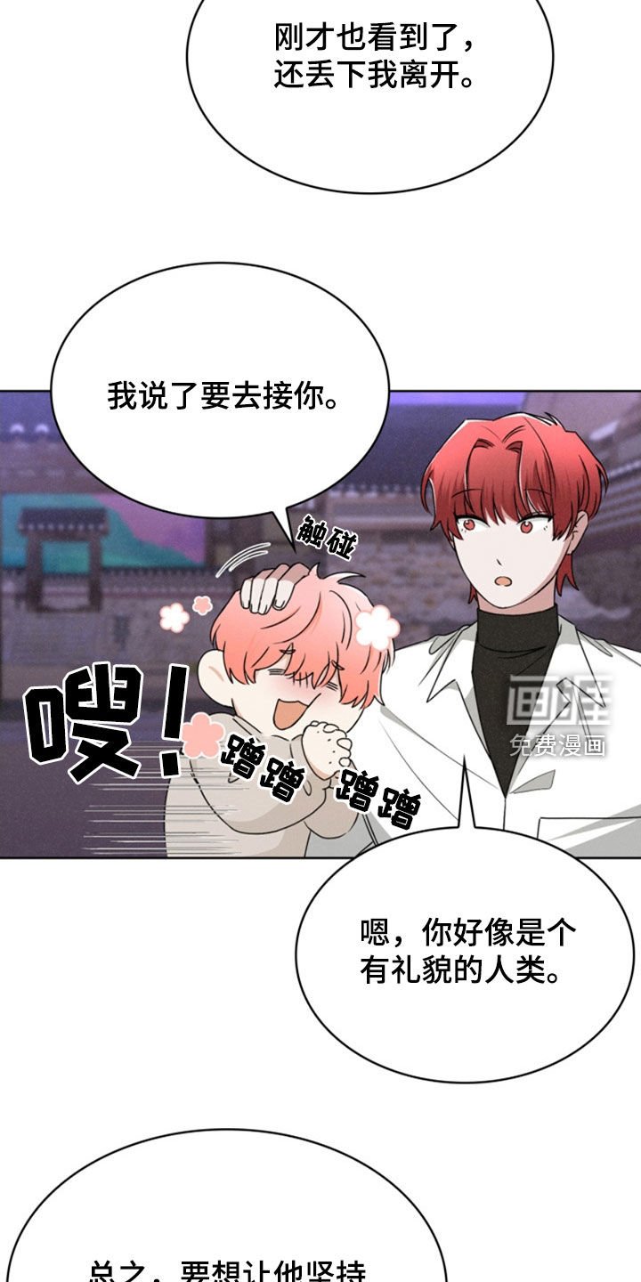 第29章：计划