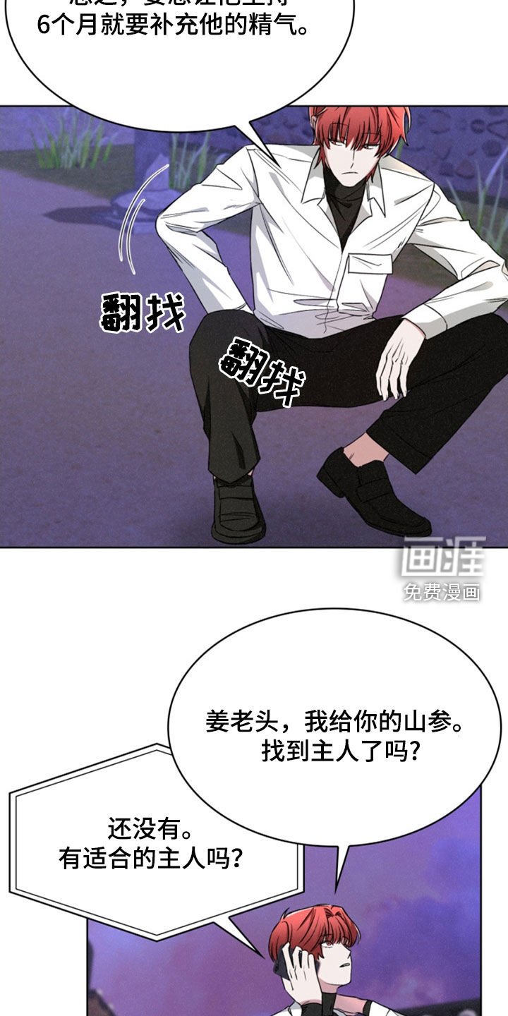 第29章：计划